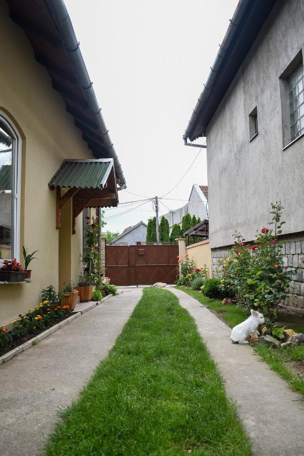 Golden Bis, Subotica Lägenhet Exteriör bild